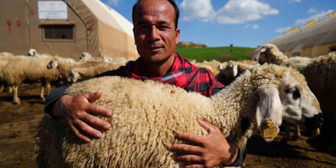 Binlerce kilometreden bozkıra geldi! Sürü artık ona emanet 8